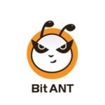 BitANT币行情走势图