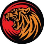 Tiger Token币行情走势图