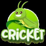 Cricket币行情走势图