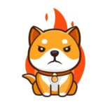 BurnDoge币行情走势图