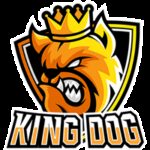 King Dog Inu币行情走势图