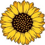 Sunflower Finance币行情走势图