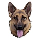 GermanShepherdDog币行情走势图