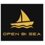 OpenBiSea币行情走势图