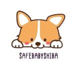 Safe Baby Shiba币行情走势图