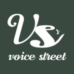 Voice Street币行情走势图