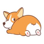 CorgiCoin币行情走势图