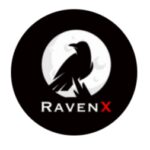 Raven X币行情走势图