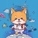 Baby Starlink Doge币行情走势图