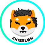 ShibElon币行情走势图