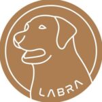 Labra Finance币行情走势图