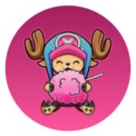 Chopper Inu币行情走势图