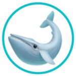 Whale Loans币行情走势图