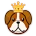 Doge King币行情走势图