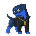 Androttweiler Token币行情走势图