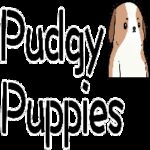 Pudgy Pups Club[new]币行情走势图