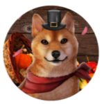 DogeGiving币行情走势图