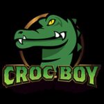 CROC BOY币行情走势图