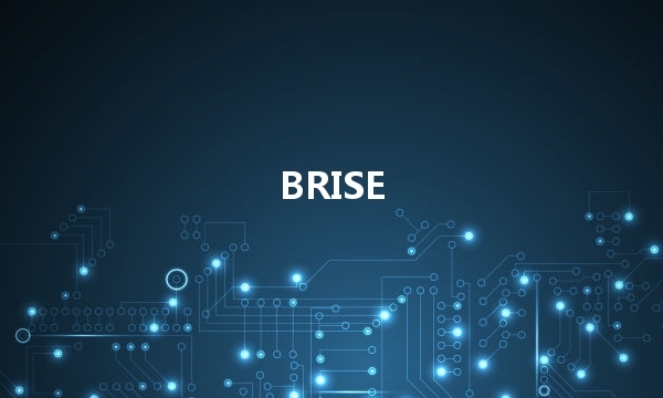 BitRise Token币行情走势图